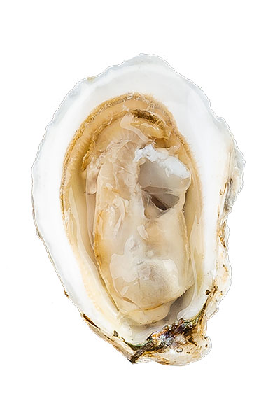 Cape Smalls Oyster Meat