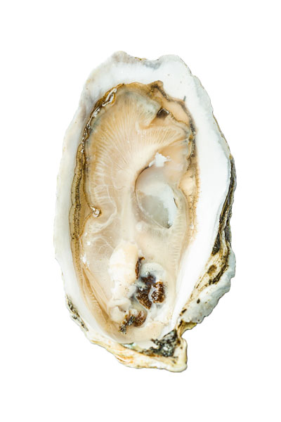 Lanes Island Oyster Meat
