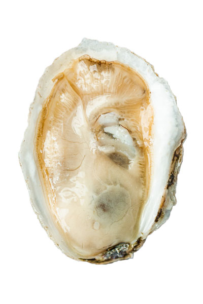Madeleine Point Oyster Meat