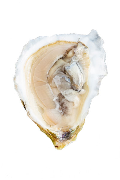 Wilds Oyster Meat