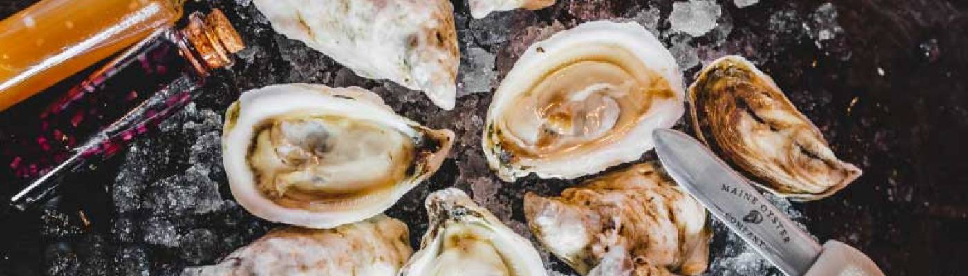 Shucked Oysters on Ice