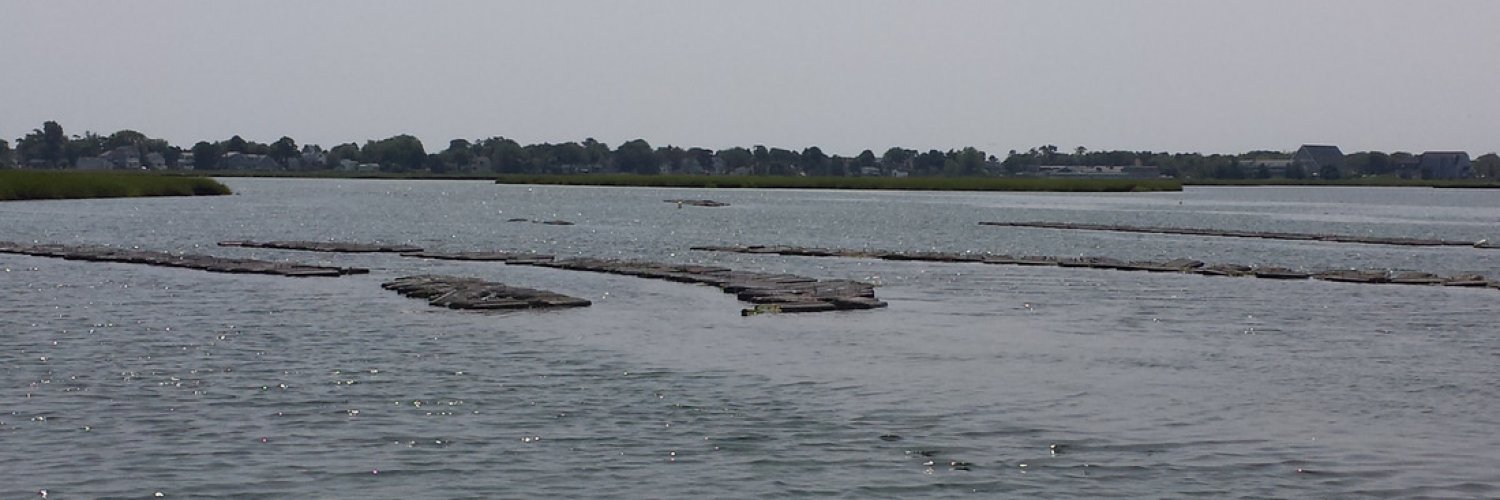 Oyster farms in Southern Coast, Maine