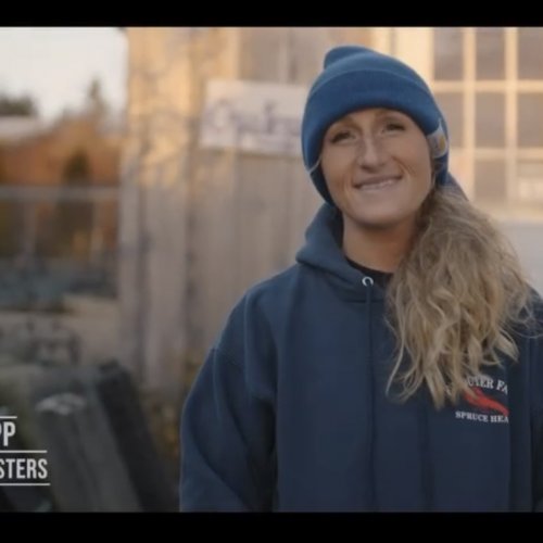 Krista, Aphrodite