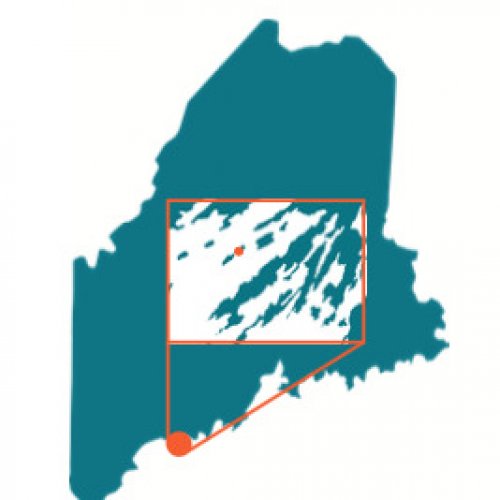 Maine Oyster Farms Oyster For Sale from Maine Oyster Farms on