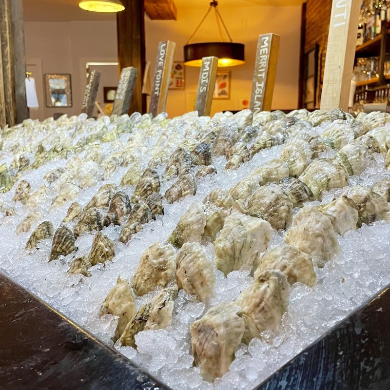 oyster presentation