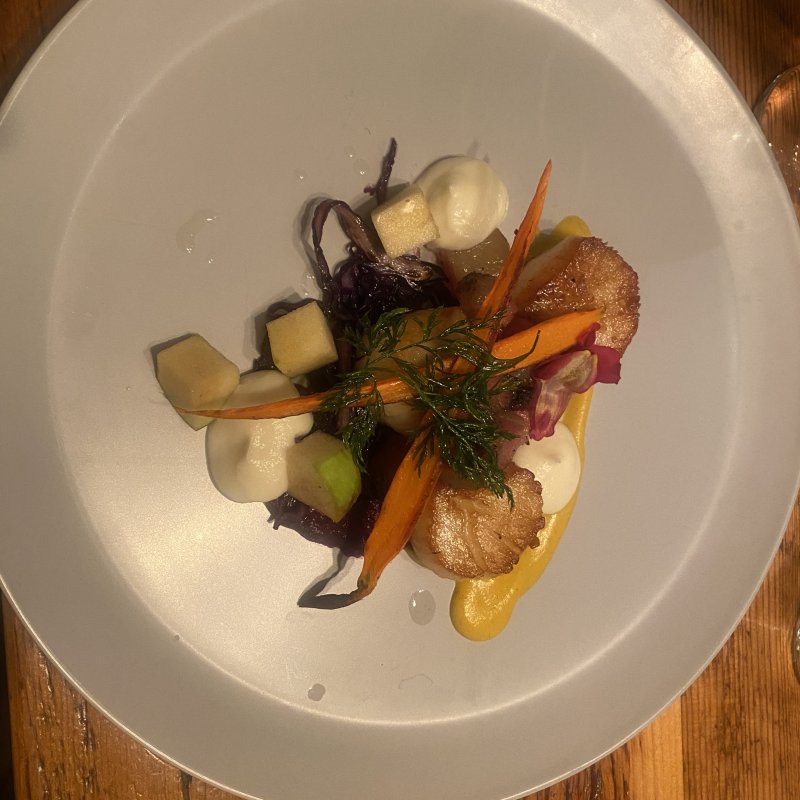 scallop plate