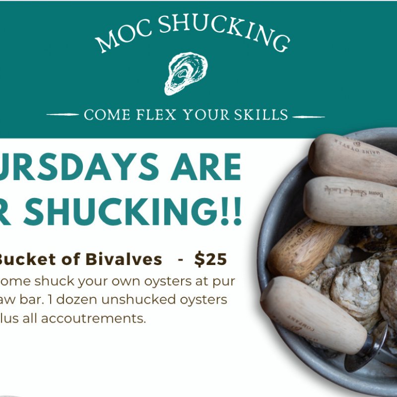 Bucket of Bivalves
