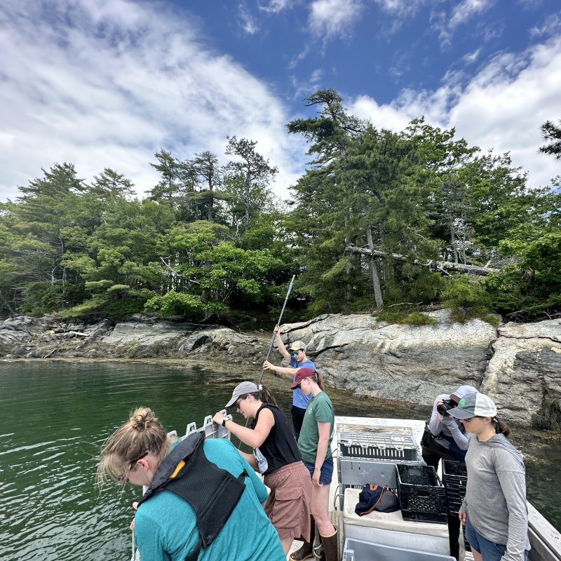 Hope we got the right spot