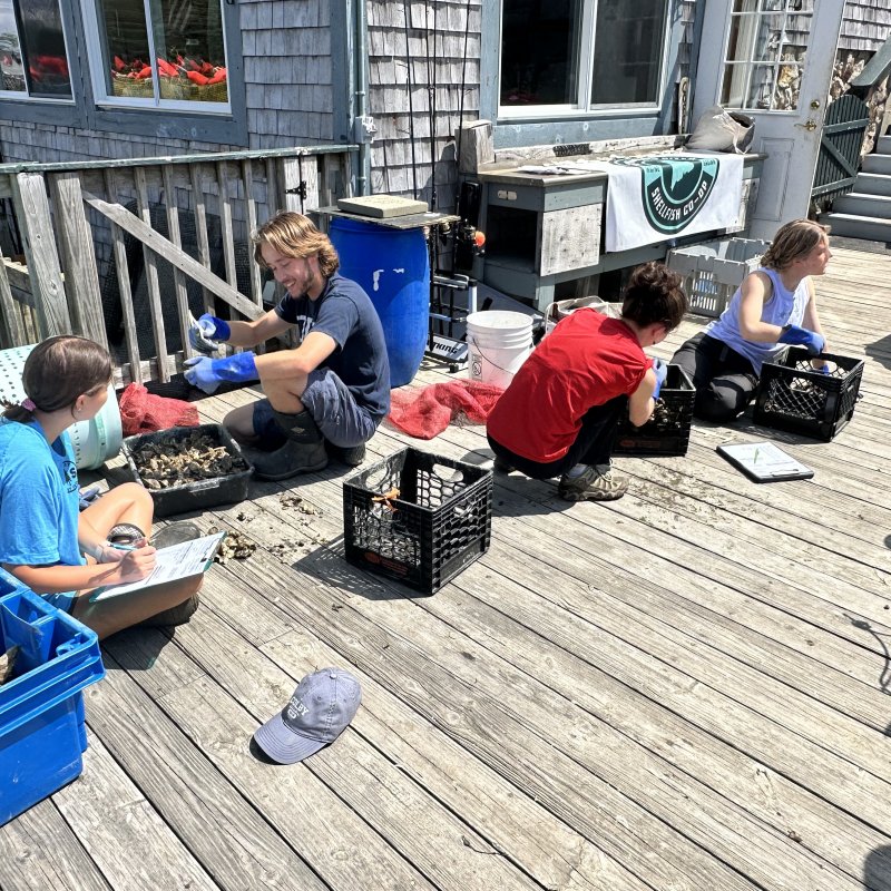 Count & Catalog Baby!