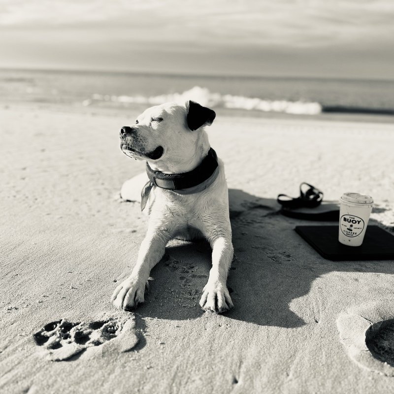 Cape May love