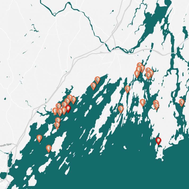 Maine Oysters Shipped Direct Overnight