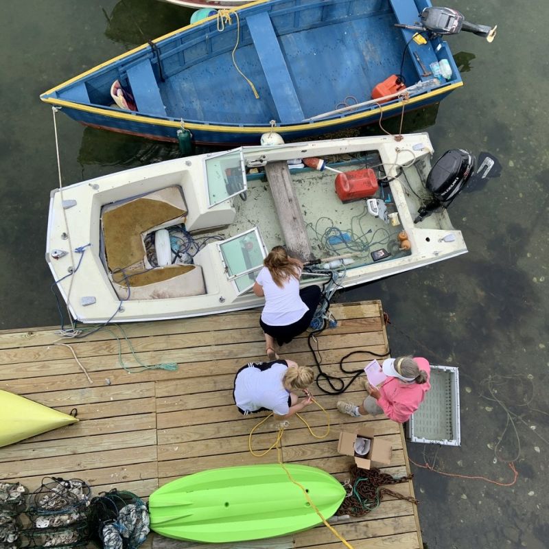 And we rescued a boat
