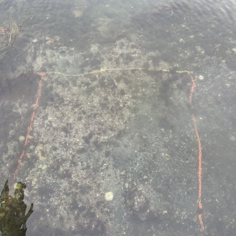 What do we see here?!