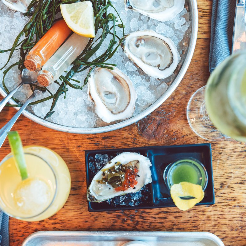 MOC HQ oysters