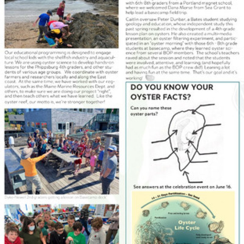 Basin Oyster Project Newsletter