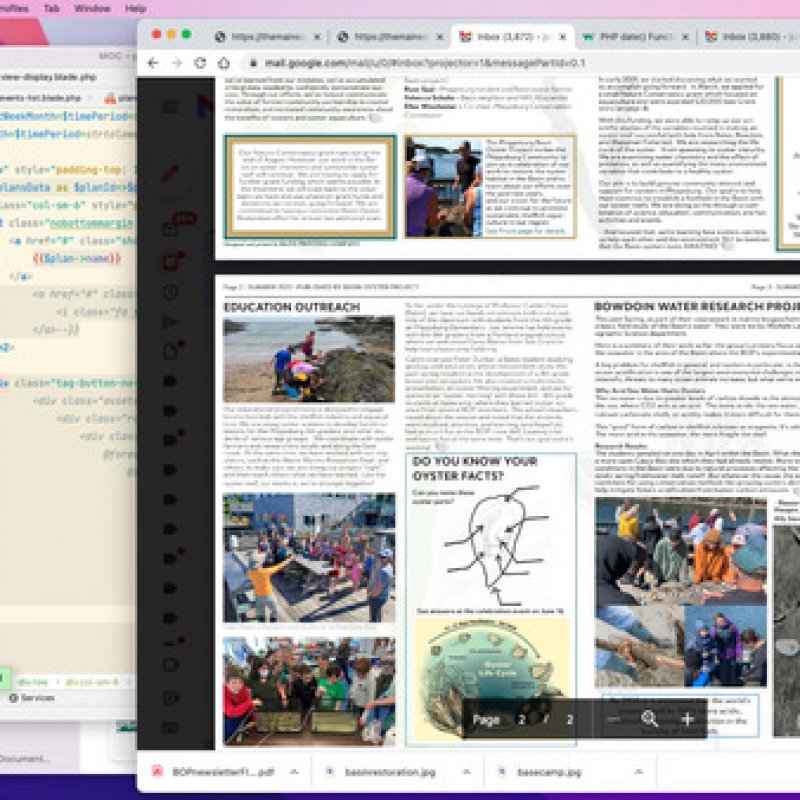 Basin Oyster Project Newsletter