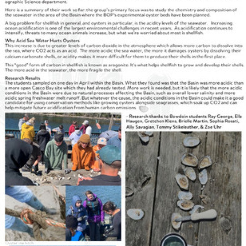Basin Oyster Project Newsletter