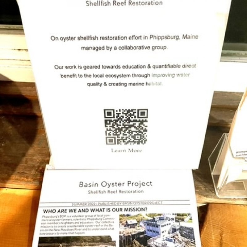 Day 1: 750K eyed larvea