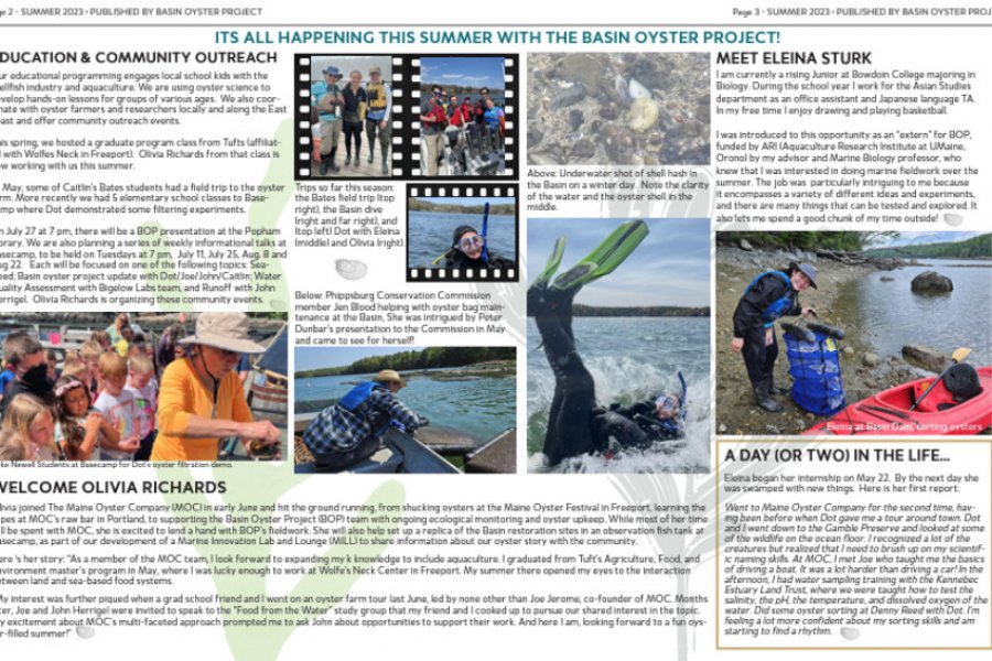 Basin Oyster Project Summer 2023 Newsletter