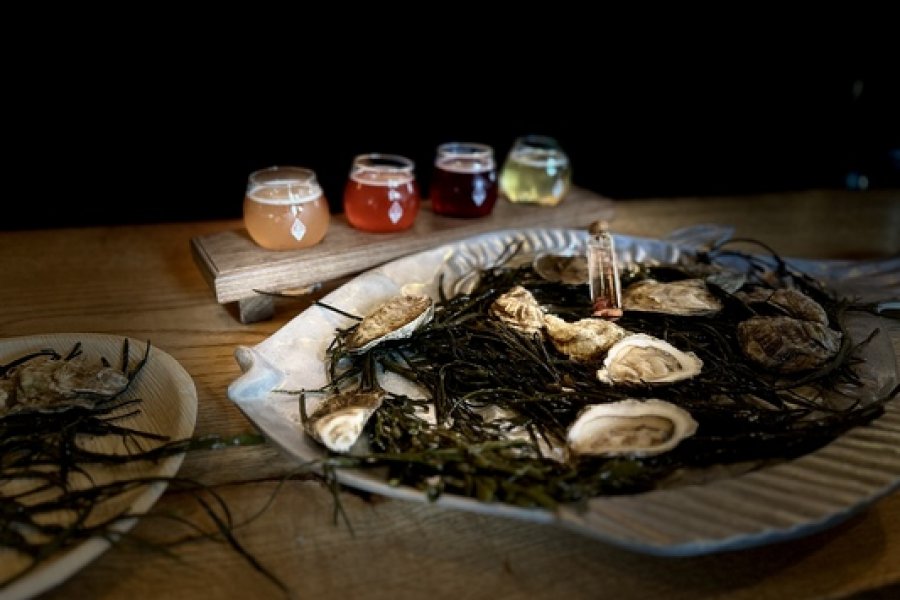 Root Wild Oyster Shucking Class #preview!