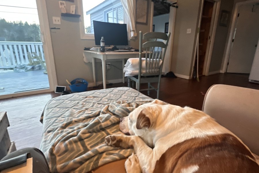 Come stay with us at Seaside Cottage!