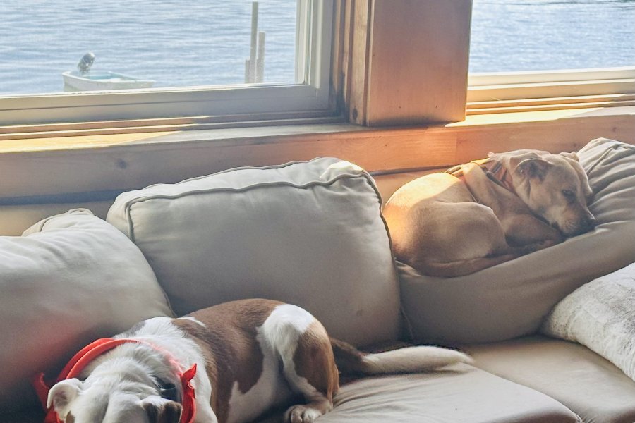 It's a #rough life
