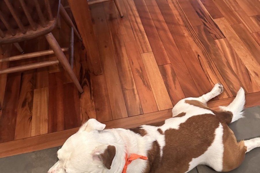 #Roughlife