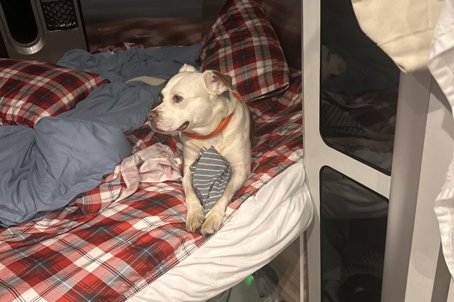 Can we PLEEESE go to bed Dad