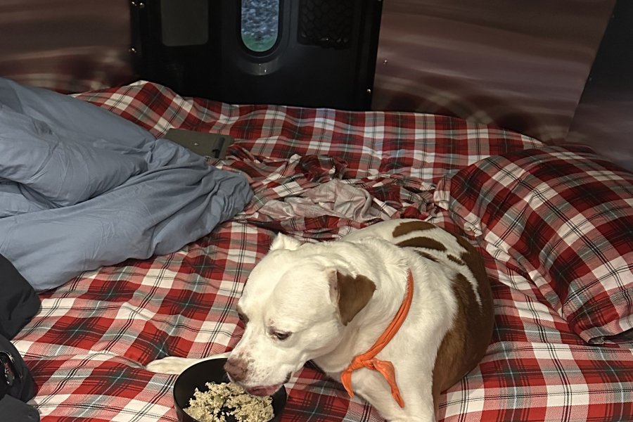 Breakfast in bed..cmon!!!’