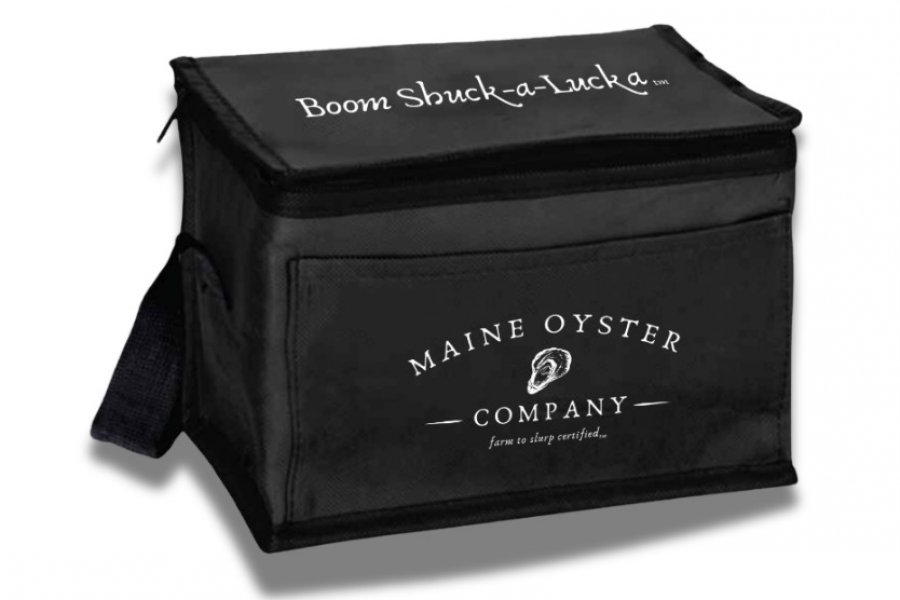 Travel Cooler