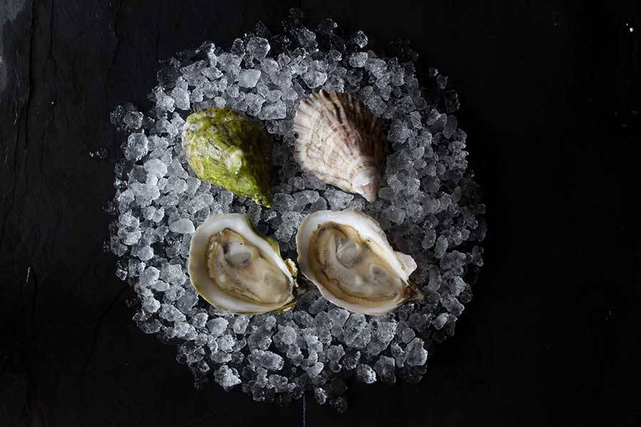 Buy Fresh Shellfish Online - Premium Shellfish Home Delivery Available