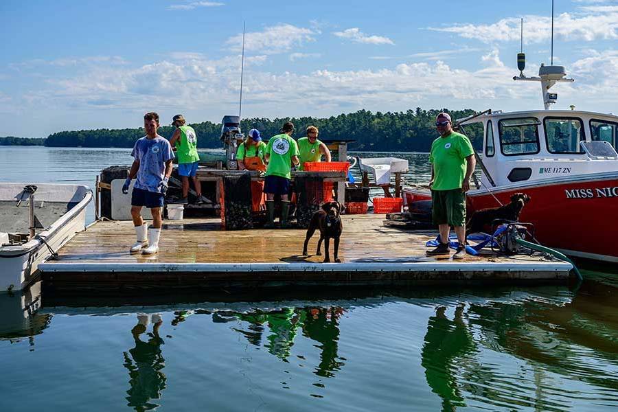 Mere Point Oyster Farmers