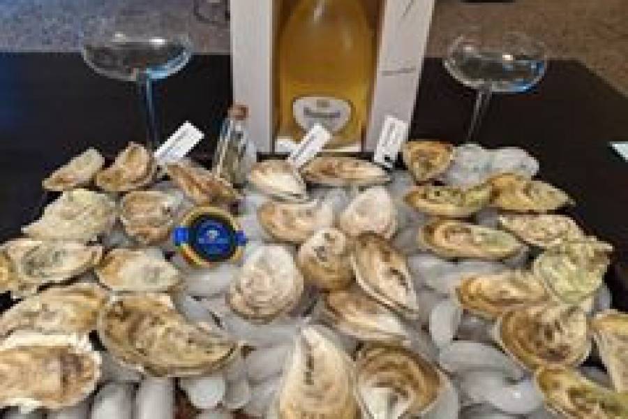 Oysters, Caviar, Drinks