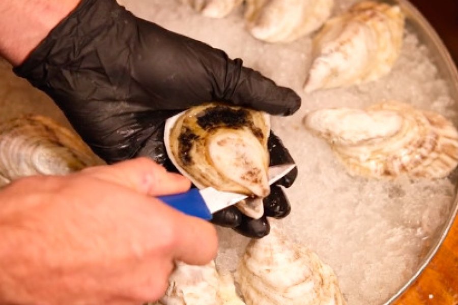 25 Fresh Maine Oysters For Sale Online Oysters Shipped Maine Oyster