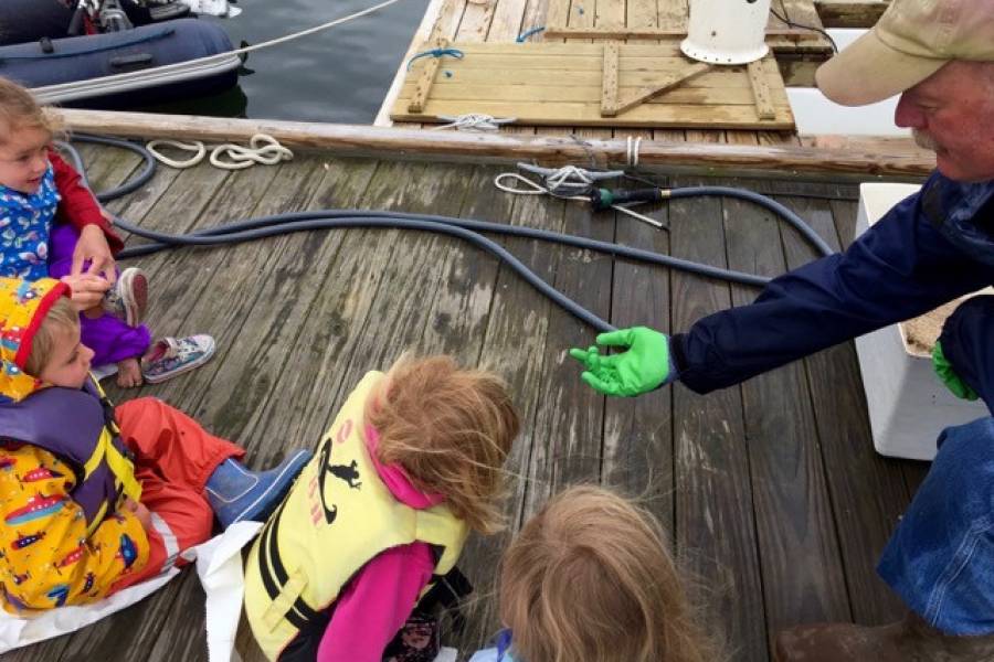 Oyster Shucking Classes Learn how to Shuck a Maine Oyster