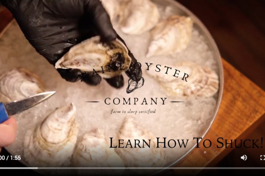 https://themaineoystercompany.com/uploads/cropped/900x6003845-.jpg