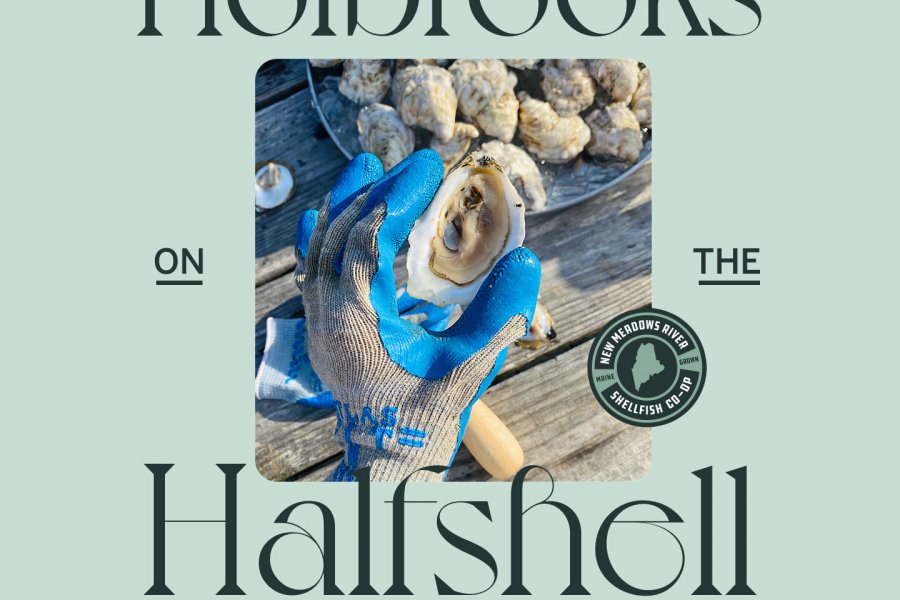 Holbrooks on the Half Shell