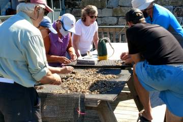 Hands on Oyster Educational Learning!