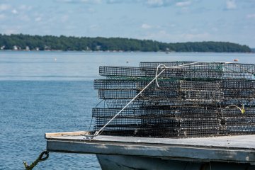 Chebeague Island Oyster Farm
