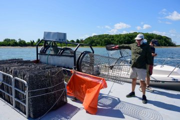 Chebeague Island Oyster Farm