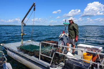 Chebeague Island Oyster Farm