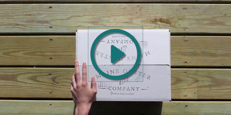 Oyster box video poster