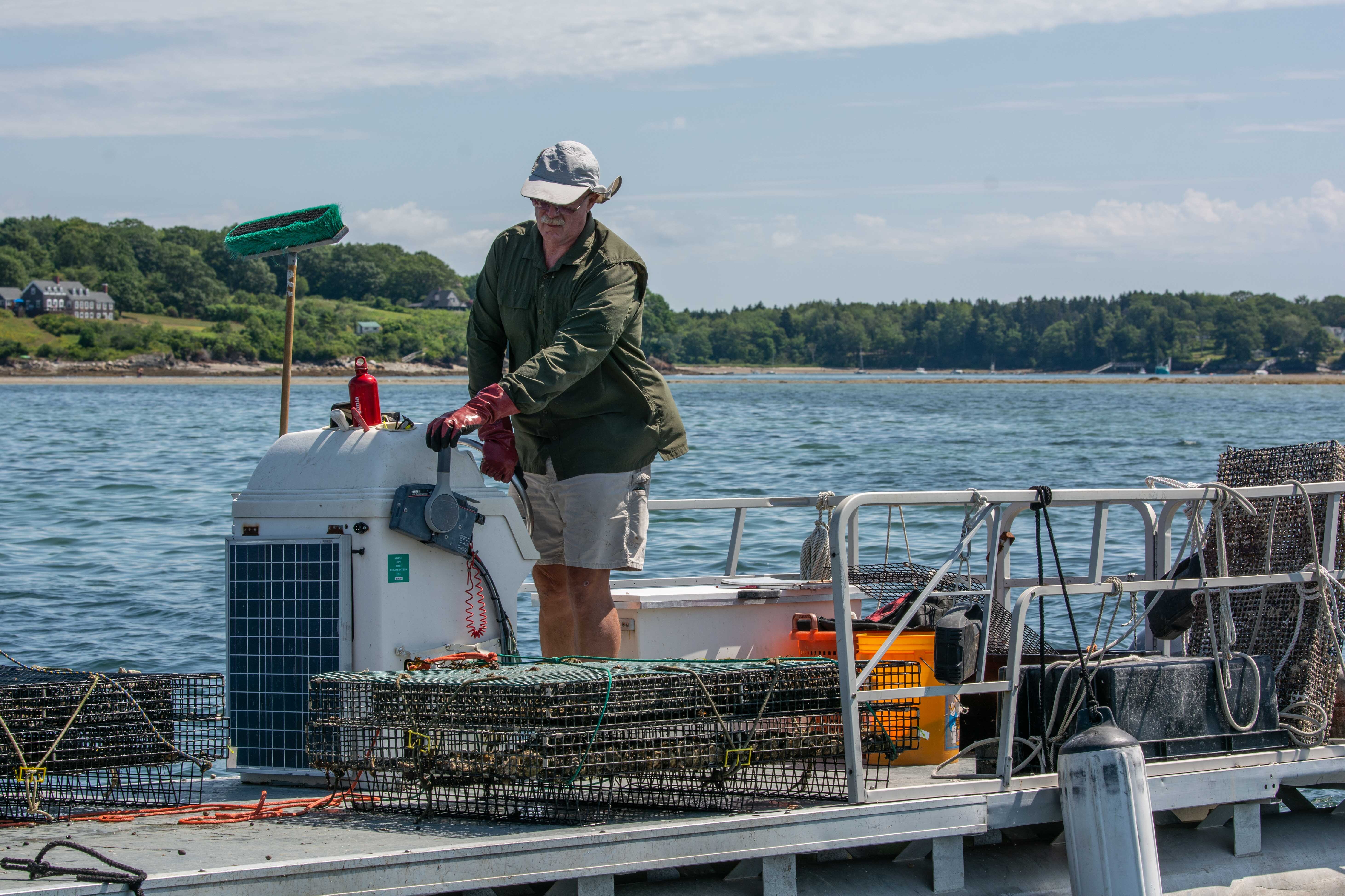 Chebeague Island Oyster Farm