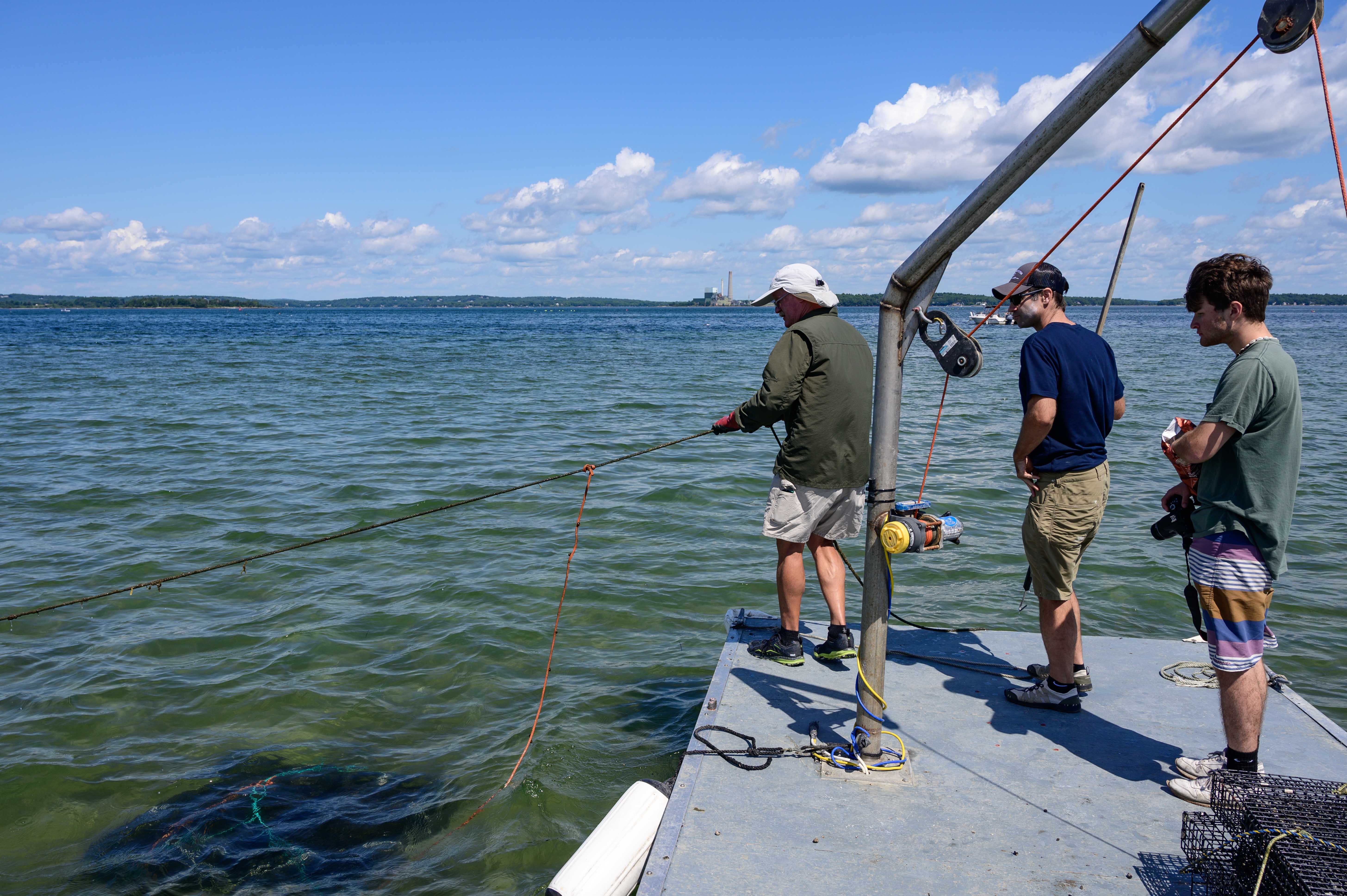 Chebeague Island Oyster Farm