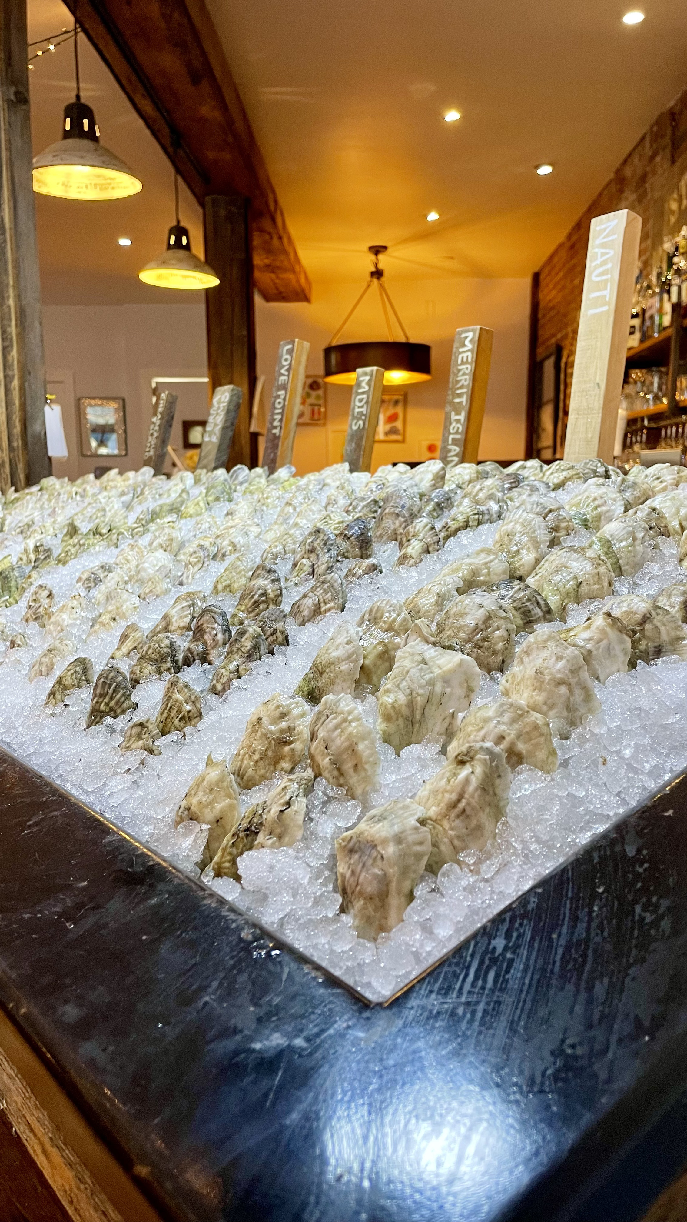 oyster presentation