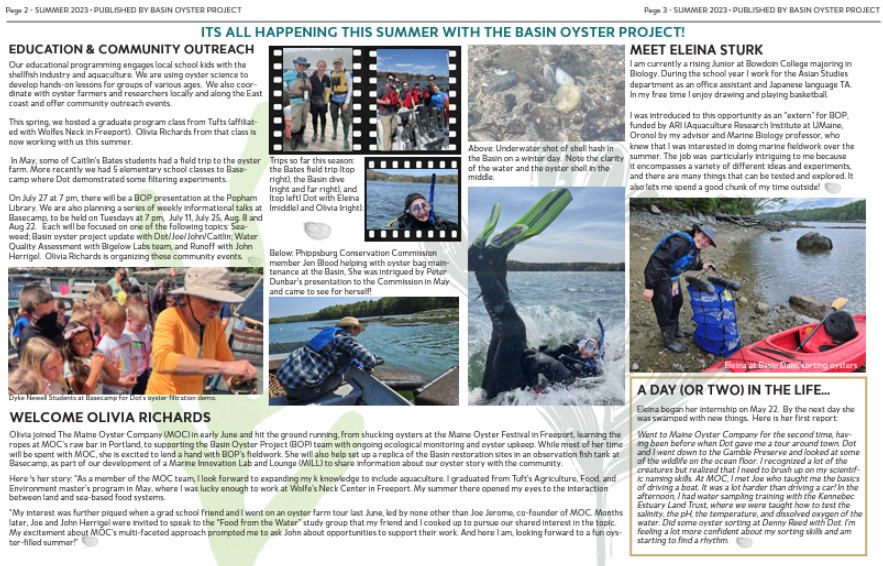 Basin Oyster Project Summer 2023 Newsletter