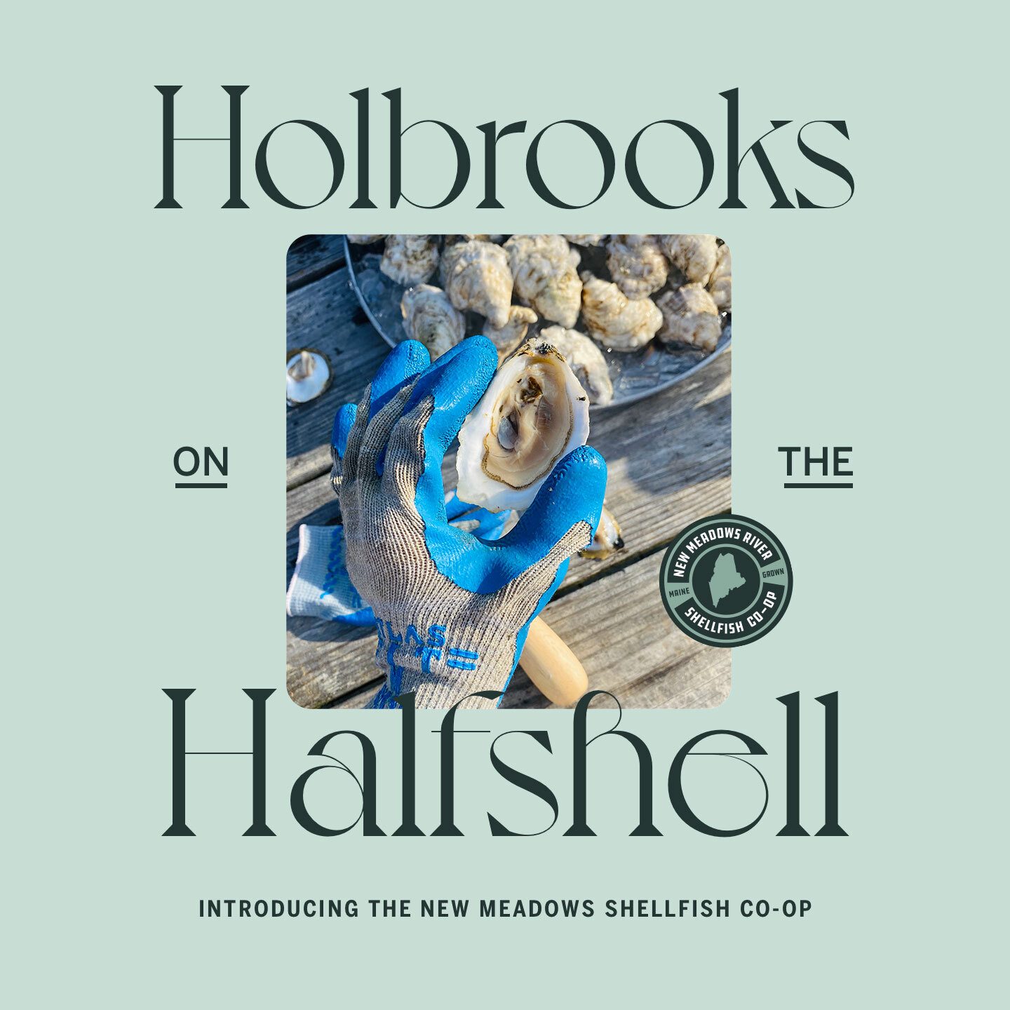 Holbrooks on the Half Shell